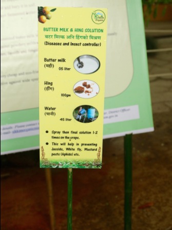 Sikkim Organic Festival had various demonstrations on indigenous technical knowledge practices for sustainable agriculture